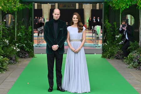 Qu’est-ce que le prix Earthshot ?  Le prix écologique du prince William expliqué