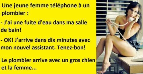 Blague Drole Une Femme Decide De Faire Appel Au Plombier A Cause D Une Fuite D Eau Chez Elle Sur Buzz Insolite Et Culture