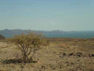 Le lac Turkana, ce site qui a permis d’élucider d’importants mystères sur notre évolution