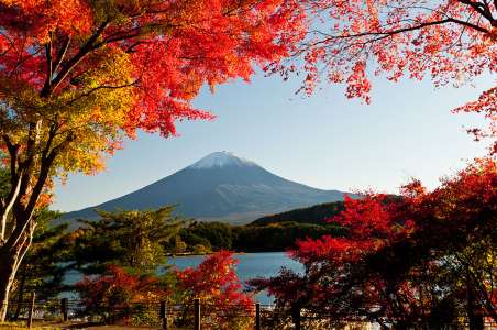 L’image de la semaine : les couleurs automnales subliment le majestueux mont Fuji