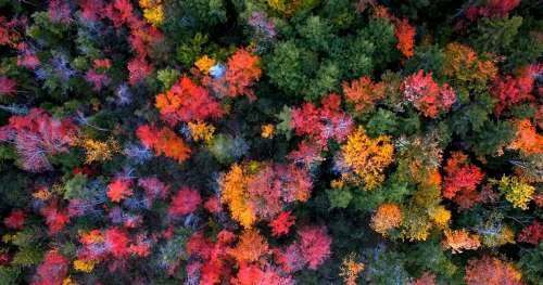 Fascinante, la Nouvelle Angleterre se pare des plus belles des couleurs automnales