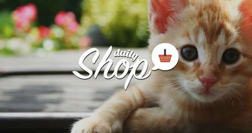 Daily Shop : 15 produits pour les amoureux des chats
