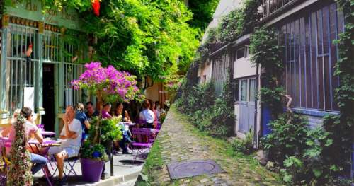 Grâce à un permis, les Parisiens peuvent faire pousser leurs plantes dans la rue