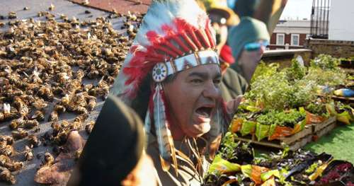 Le récap’ de la semaine : L’extinction des pollinisateurs, la victoire sioux, Paris se met au vert