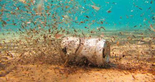 De pire en pire : la pollution envahit même le point le plus profond des océans