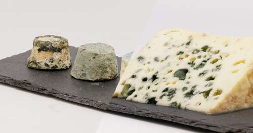 QUIZ : Réussirez-vous à reconnaître ces fromages français ?