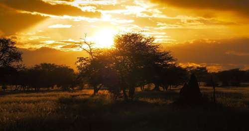 Contemplez les paysages exceptionnels de la Namibie