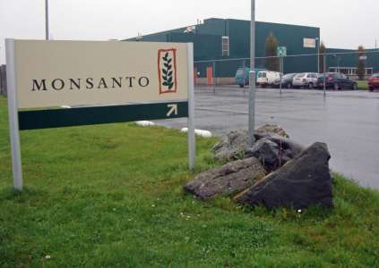 Après la corruption des politiques, Monsanto achète les scientifiques pour falsifier leurs études