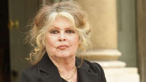 Succession Hallyday : Brigitte Bardot se dit dégoûtée et prend la défense de Laura et David