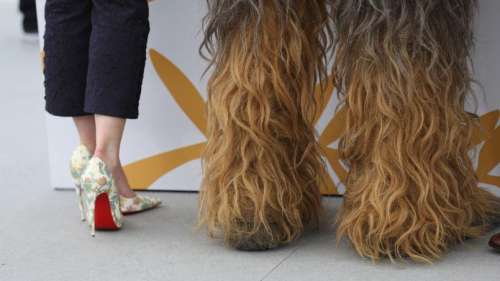 La photo du jour 9 à Cannes : la belle et la bête version Star Wars