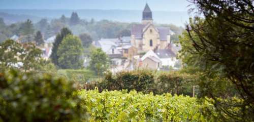 Biodynamie, suppression des sulfites, respect des parcelles... : le champagne à l'état pur