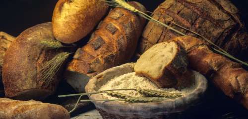 Farines anciennes, meule de pierre, levain... Le pain sort du pétrin