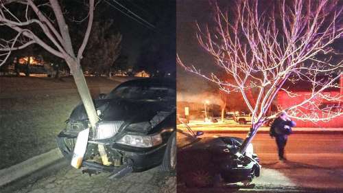 Elle conduit avec un arbre pris dans le parechoc