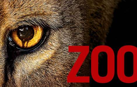 Zoo, sortie dvd de la saison 1 !