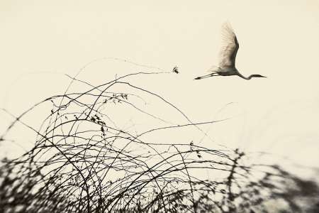 La photographe Elena Lyakir à la Galerie Claude Samuel