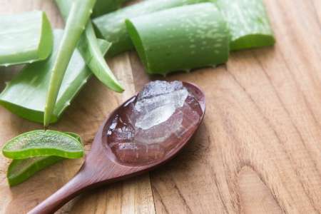 L’Aloe Vera vous veut du bien, la preuve par 5