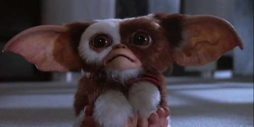 Le scénario de Gremlins 3 est fin prêt !