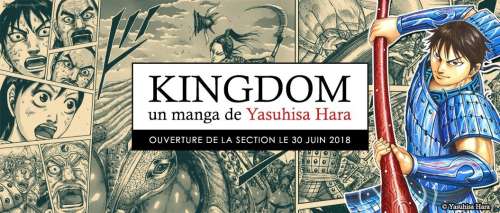 Coup de tonnerre, le manga Kingdom sortira bel et bien en France !