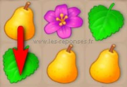 Liste des combinaisons dans Gardenscapes New Acres (mouvements)