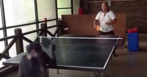 Vidéo :Petite partie de ping-pong avec un collègue original  !