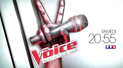 Garou : « The Voice est un peu le chemin à prendre aujourd’hui pour réussir »
