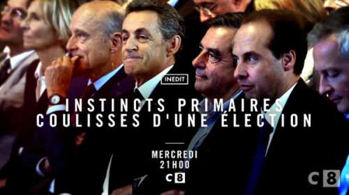 Quelle audience pour  « Instincts primaires » sur C8 ?