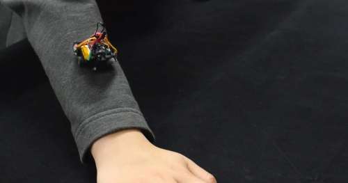 Des chercheurs ont inventé des petits robots qui se déplacent sur vos vêtements