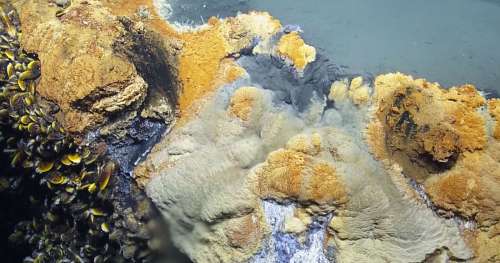 Des chercheurs ont découvert un lac dans les profondeurs du Golfe du Mexique