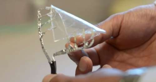 Ce nouveau matériau flexible et tactile pourrait rendre nos écrans incassables