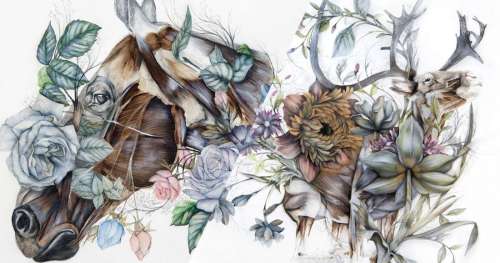 Cet artiste mêle la faune et la flore dans des dessins empreints de féerie