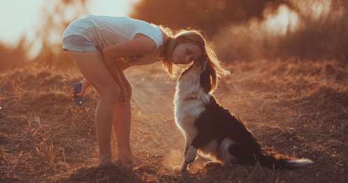 L’amitié des chiens envers les humains serait due à leurs gênes
