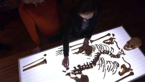 France 5 s’intéresse à la découverte et l’identification du squelette de Richard III