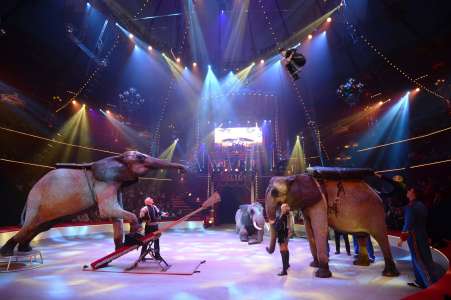 Le cirque Bouglione abandonne les spectacles avec des animaux