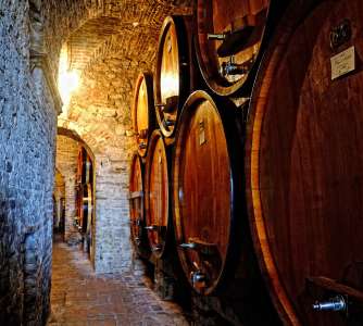 Un été en toscane : les caves du «vini nobili»