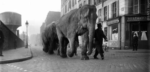 Paris autrefois : les photos extraordinaires de l'agence Roger-Viollet, menacée de fermeture