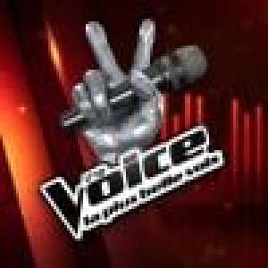 The Voice 7 : Une première voix dévoilée, les coachs sous le charme