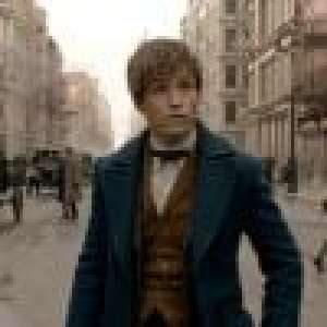 Harry Potter : Le prochain film des Animaux fantastiques tourné à Paris ?