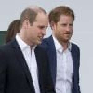 Prince Harry : Son frère William soutient sa volonté de protéger Meghan Markle