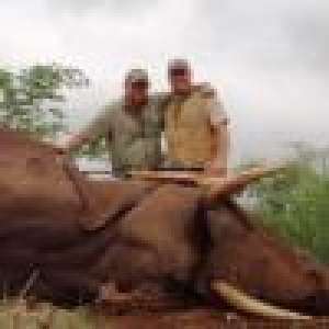 Pascal Olmeta : Lynché après sa chasse à l'éléphant, il répond enfin...