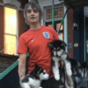 Pete Doherty laisse volontairement ses chiens massacrer un chaton en pleine rue
