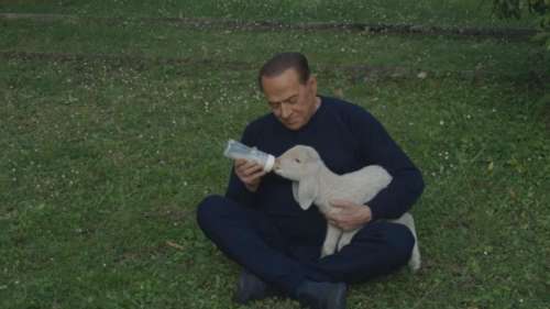 Silvio Berlusconi câline des agneaux