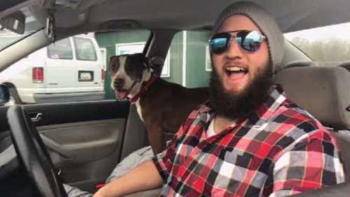 Il conduit plus de 2000 km pour ramener un chien égaré à ses maîtres