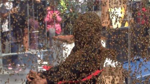 Couvert de 100 000 abeilles pour faire la promotion d'un film