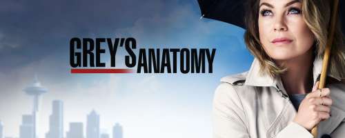 Grey’s Anatomy : un retour bien gardé pour la saison 13 ?
