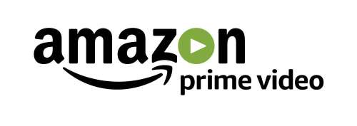 Les séries Amazon prime video en Février