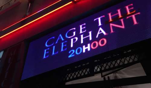 [Report] Cage The Elephant livre un concert déjanté à l’Alhambra