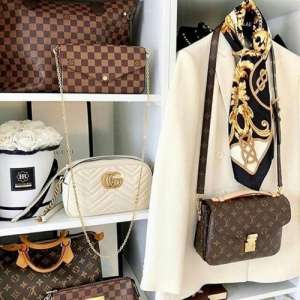 Louis Vuitton new trendy classic bags