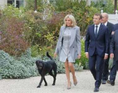 Le chien de Macron urine sur une cheminée de l'Elysée