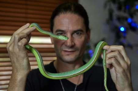 Londres: Steve Ludwin, l'homme qui résiste au venin de serpent