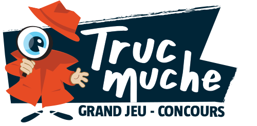 Solutions questions subsidiaires Trucmuche 2020